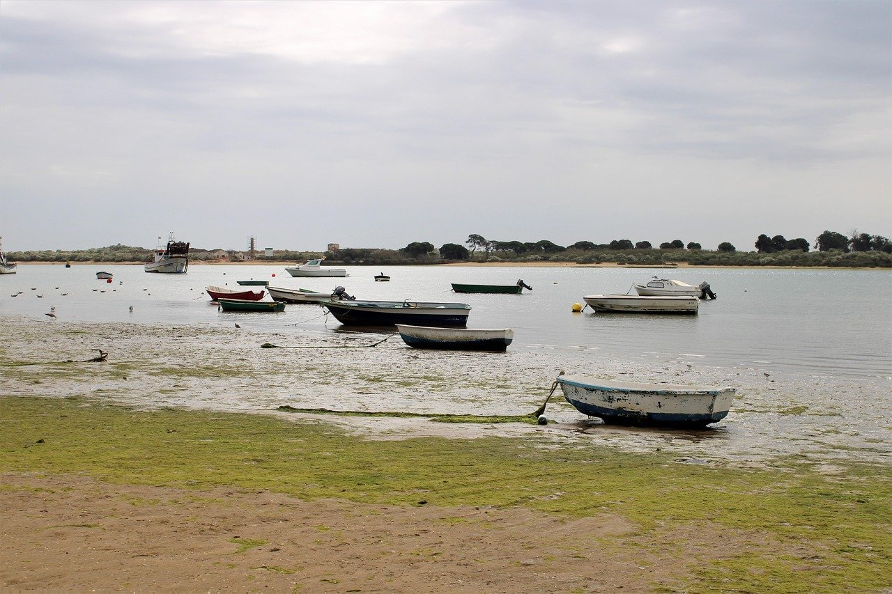 boats, beach, marsh, sea, nature, landscape, huelva, coast, fishing boats, sand